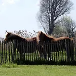 In Nieuwpoort-bad By The * Nieuwpoort