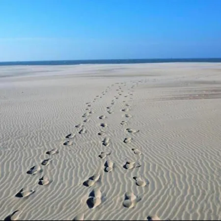 In Nieuwpoort-bad By The Nieuwpoort